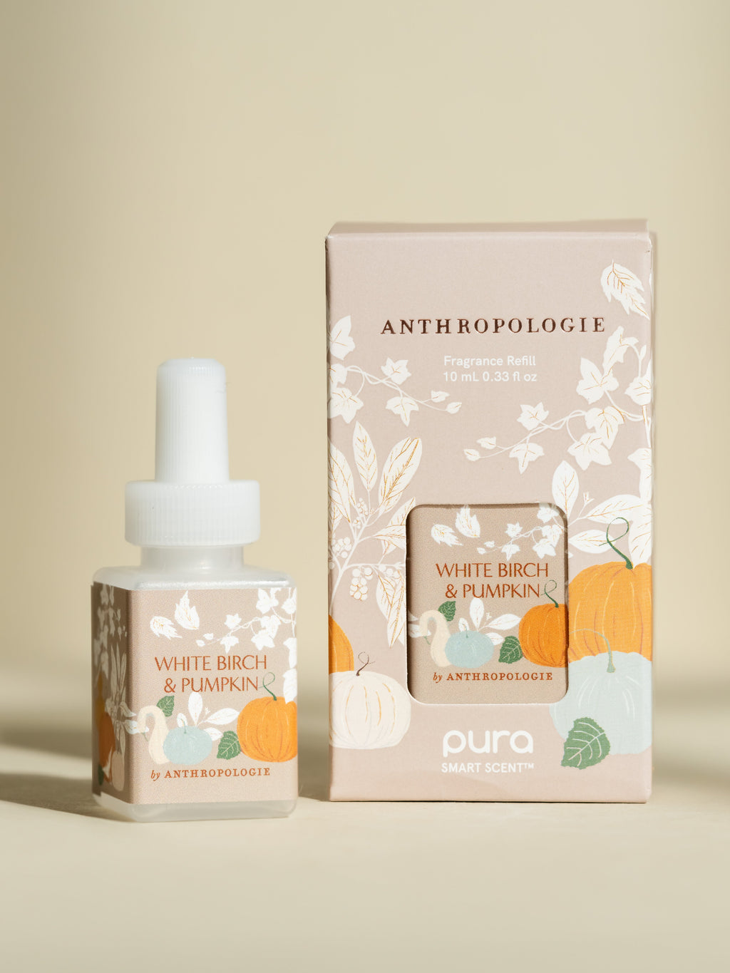 White Birch & Pumpkin - Enjoy Your Space