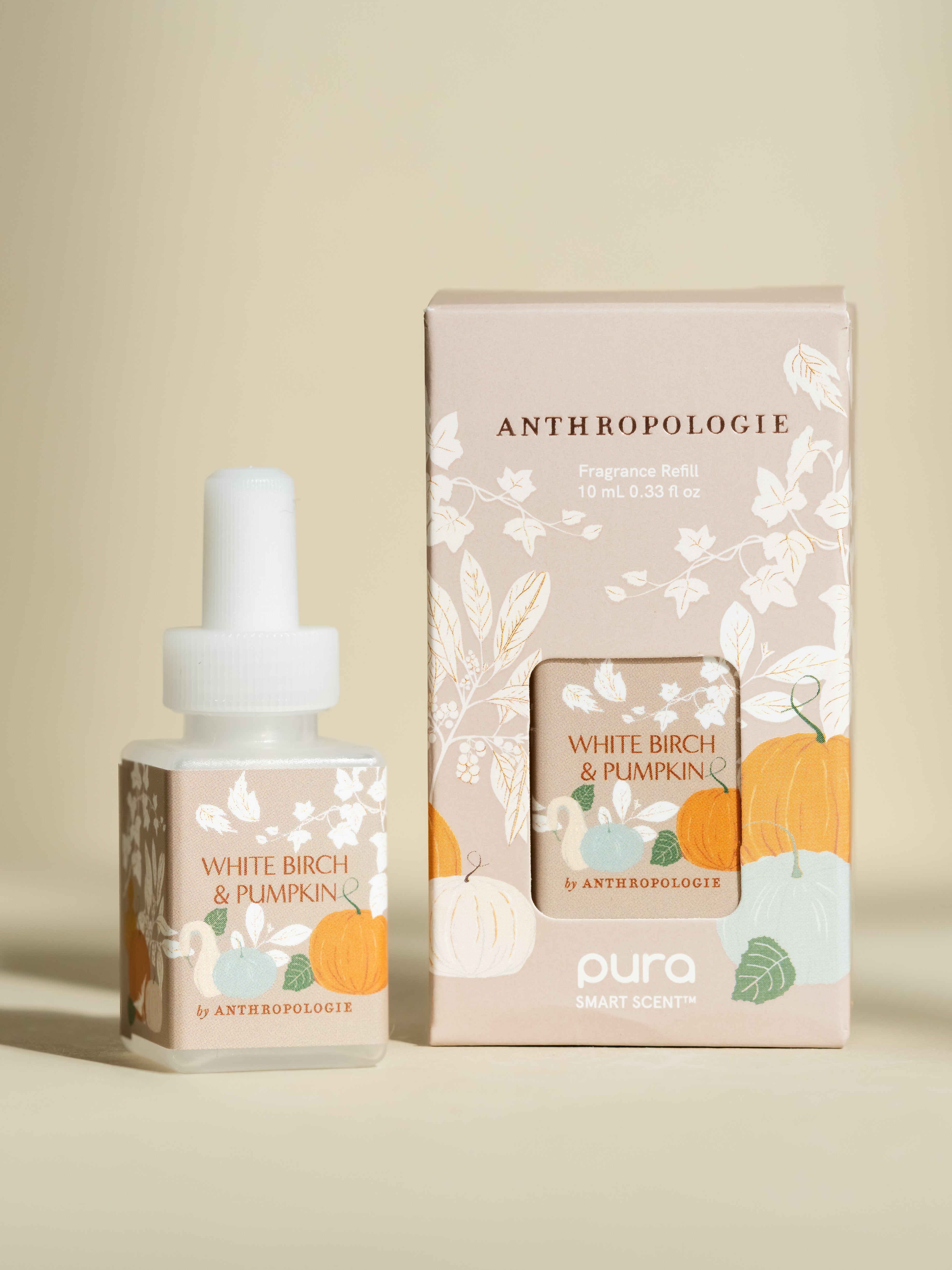 White Birch & Pumpkin - Enjoy Your Space