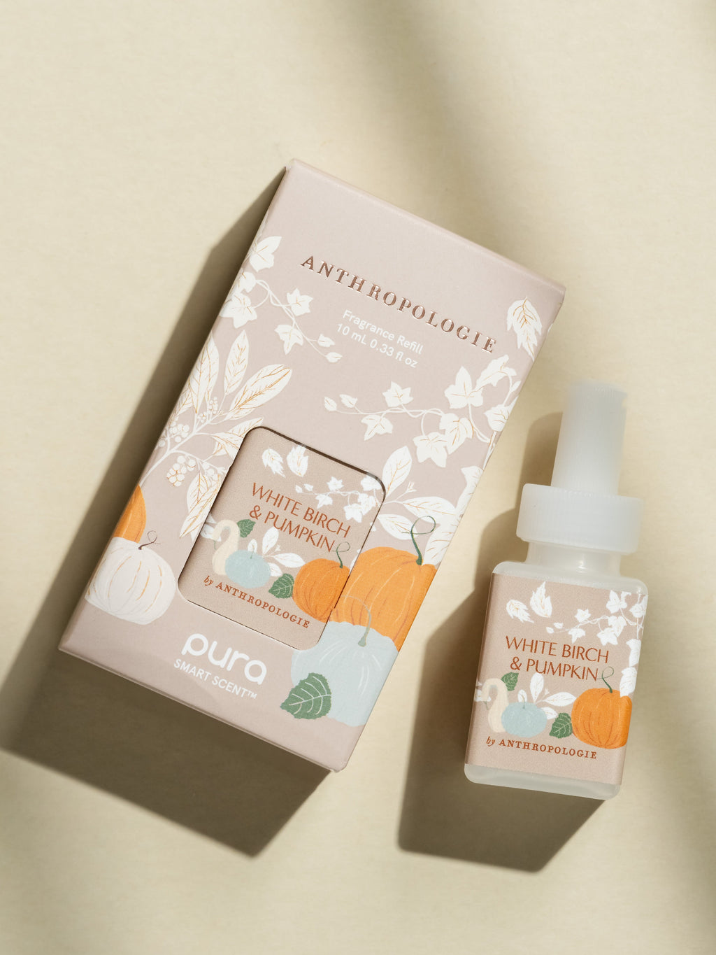 White Birch & Pumpkin - Enjoy Your Space