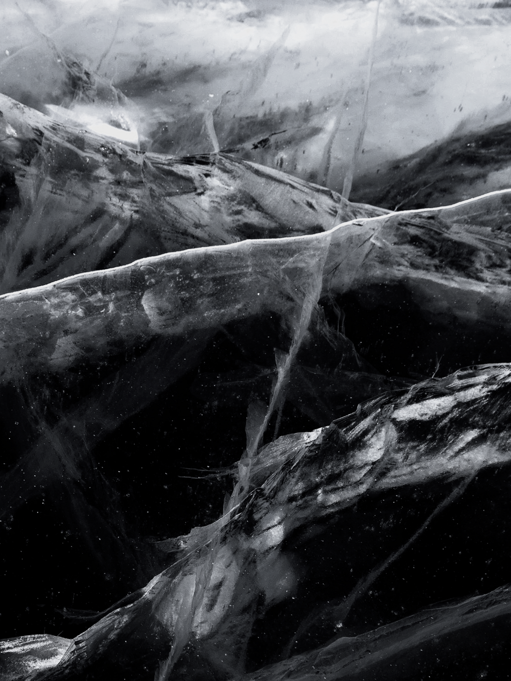 Black Frost - Refresh Every Corner