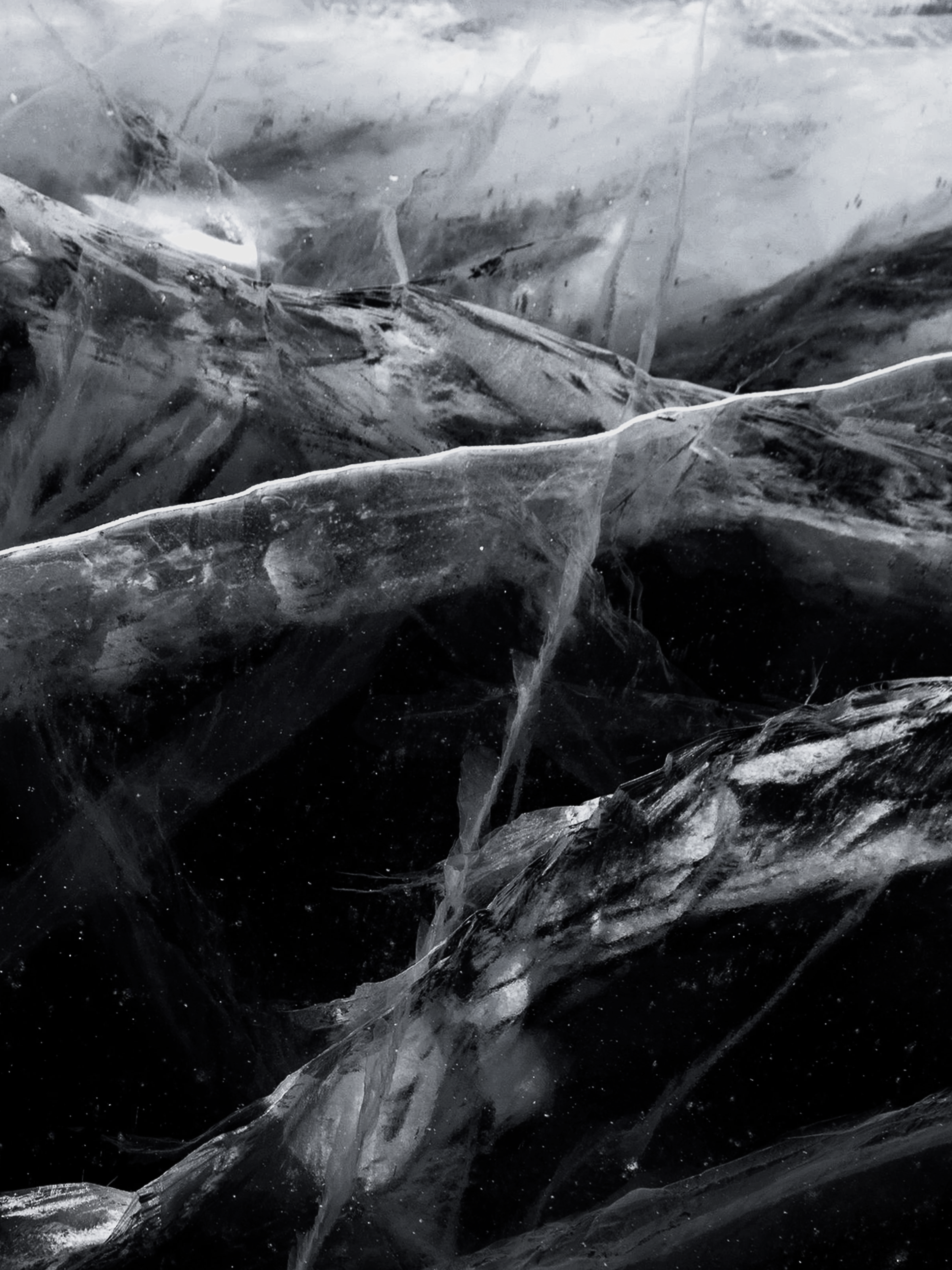 Black Frost - Refresh Every Corner