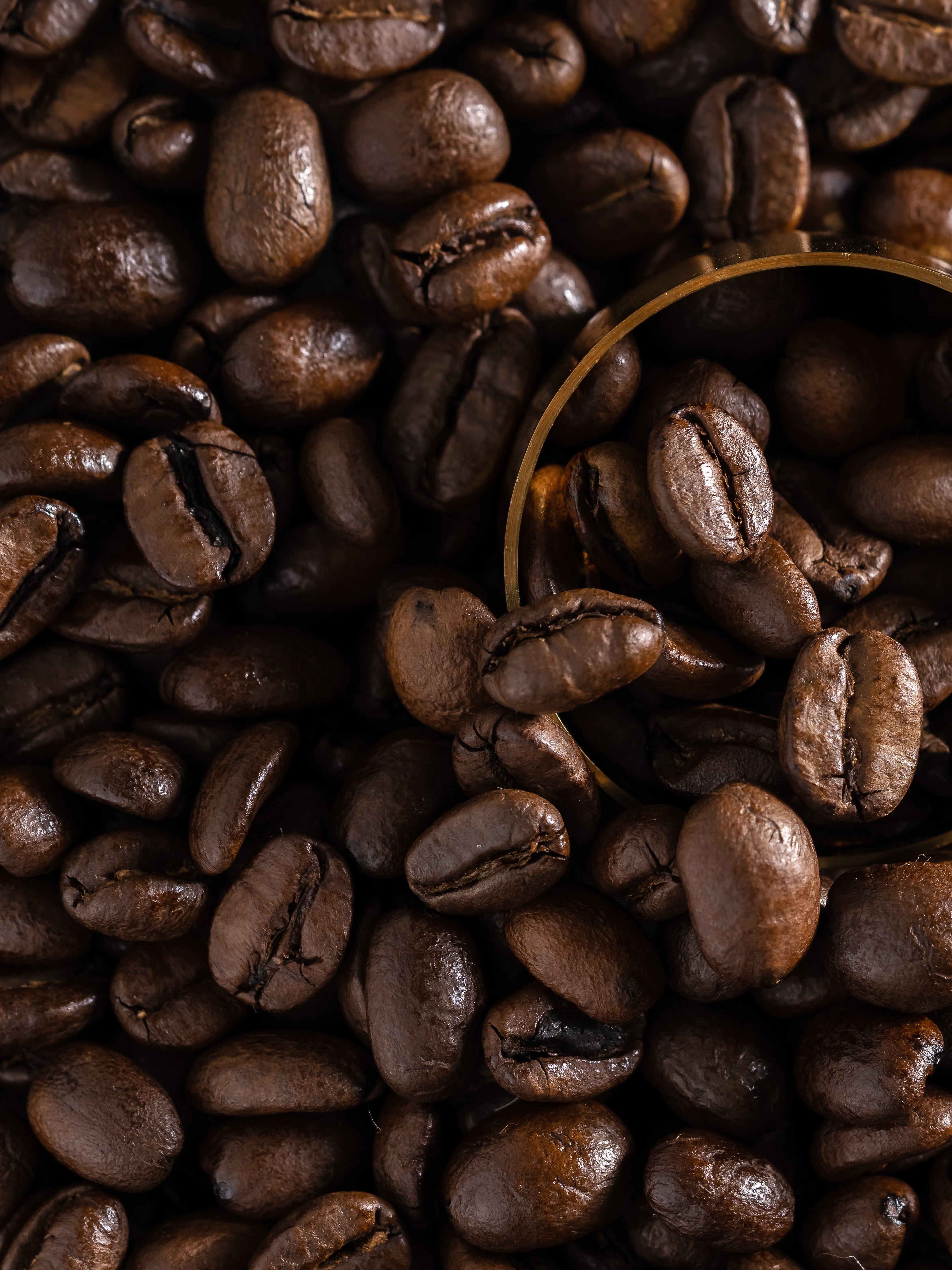 Reverie Roast - Home Scent Essential