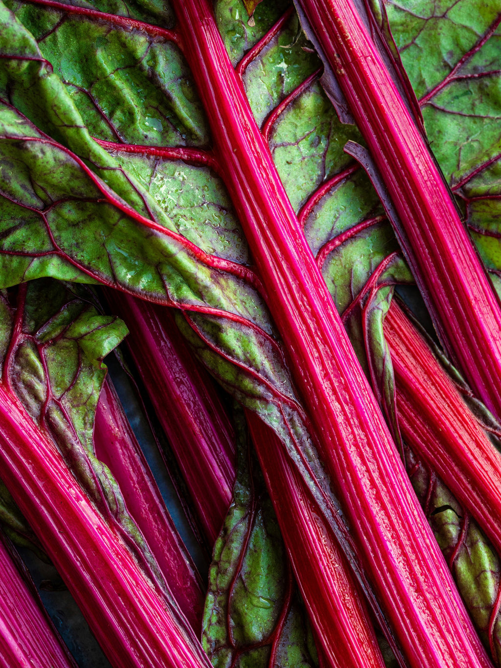 Rhubarb Honey - Pura in Control
