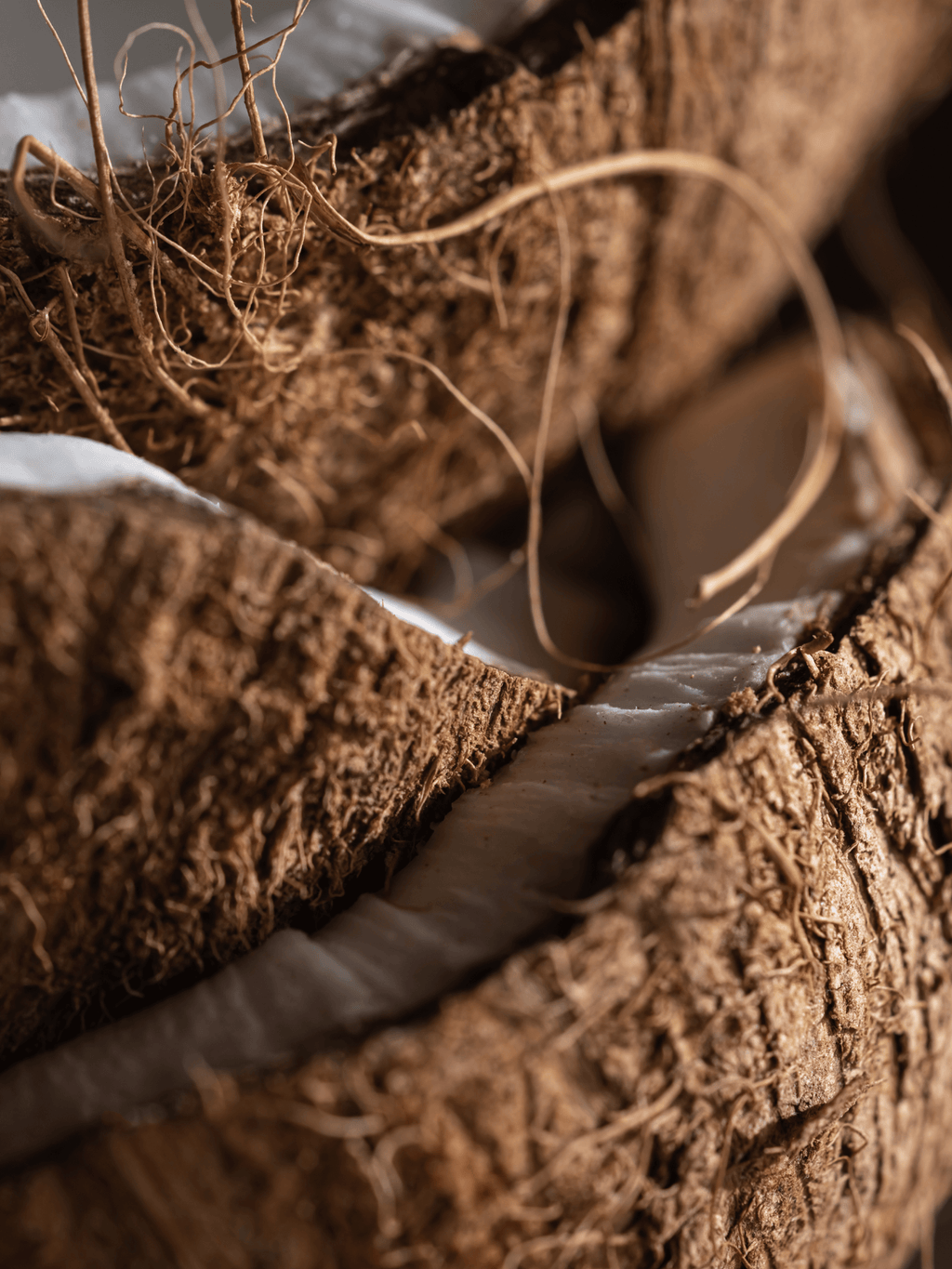 Coconut Oasis - Pura Daily Scent