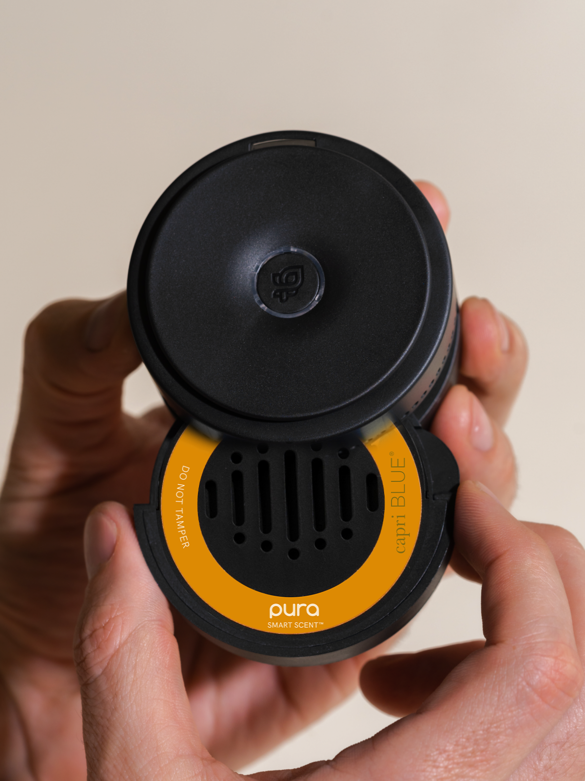 Pumpkin Dulce - Fresh Space Made Simple