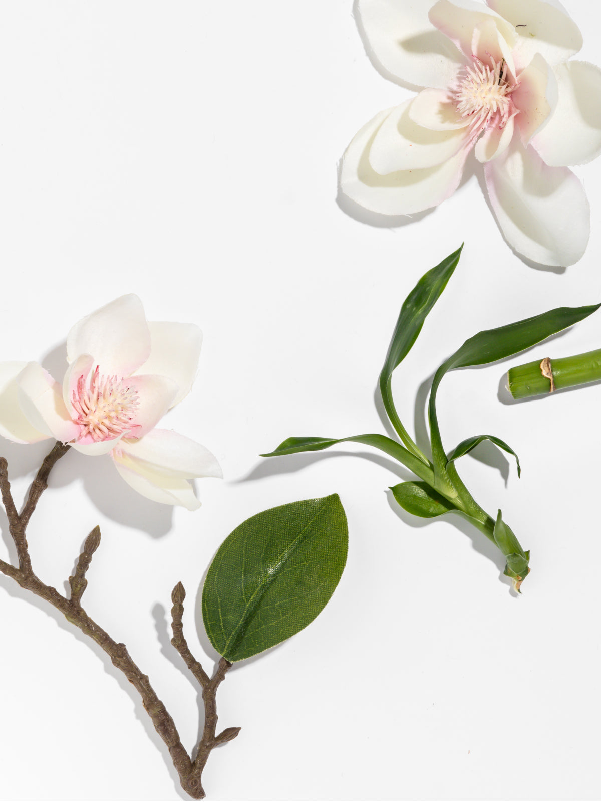 Star Magnolia - Smart Scent Daily