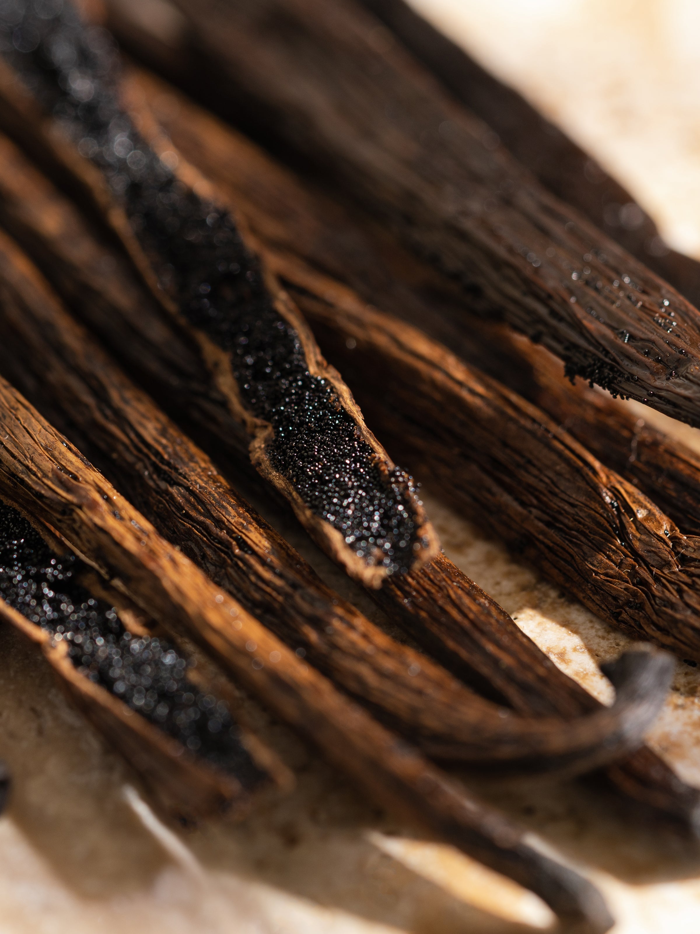 Havana Vanilla - Soft Scent Moment
