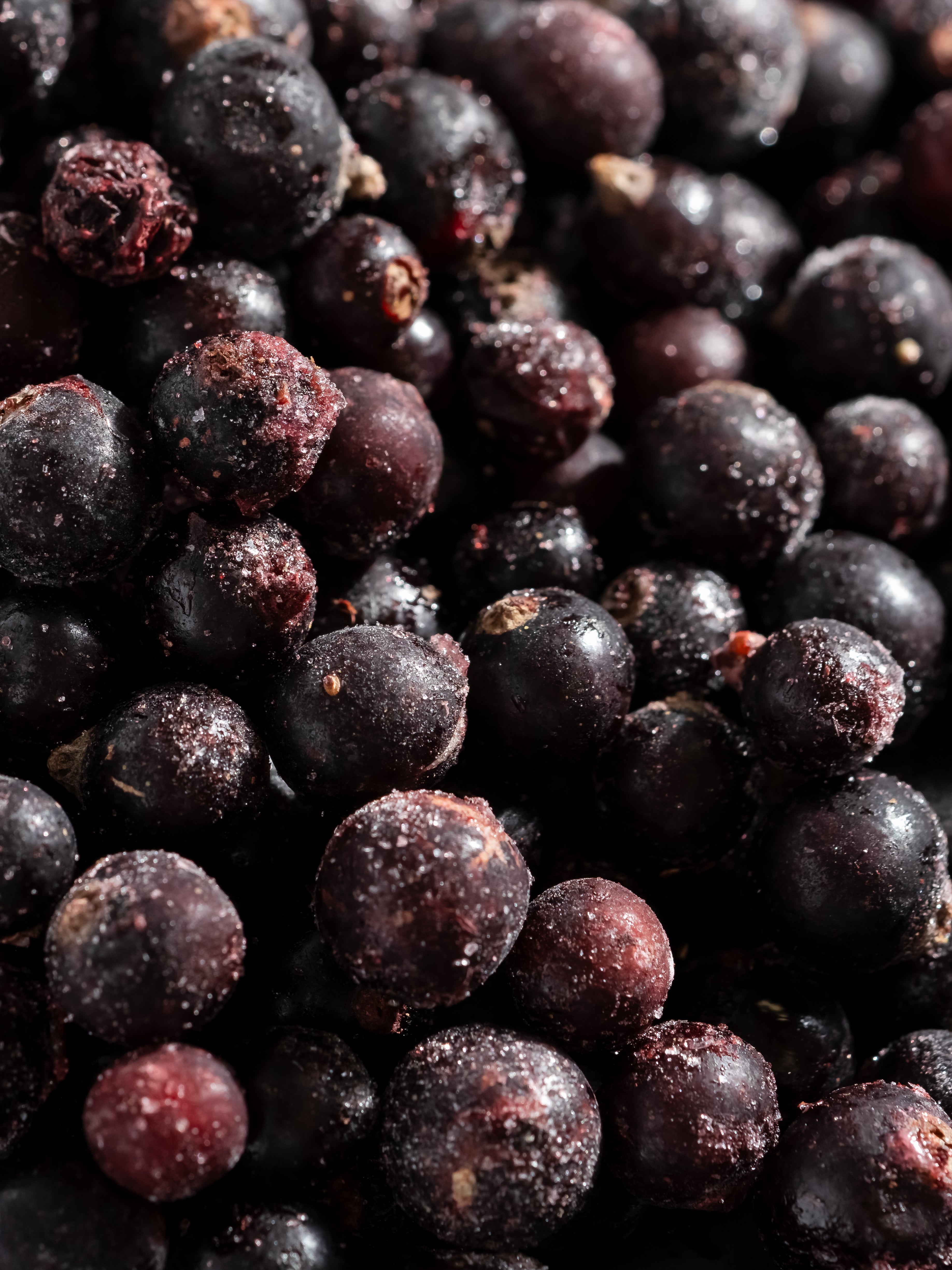 Sparkling Currant - The Home Scent