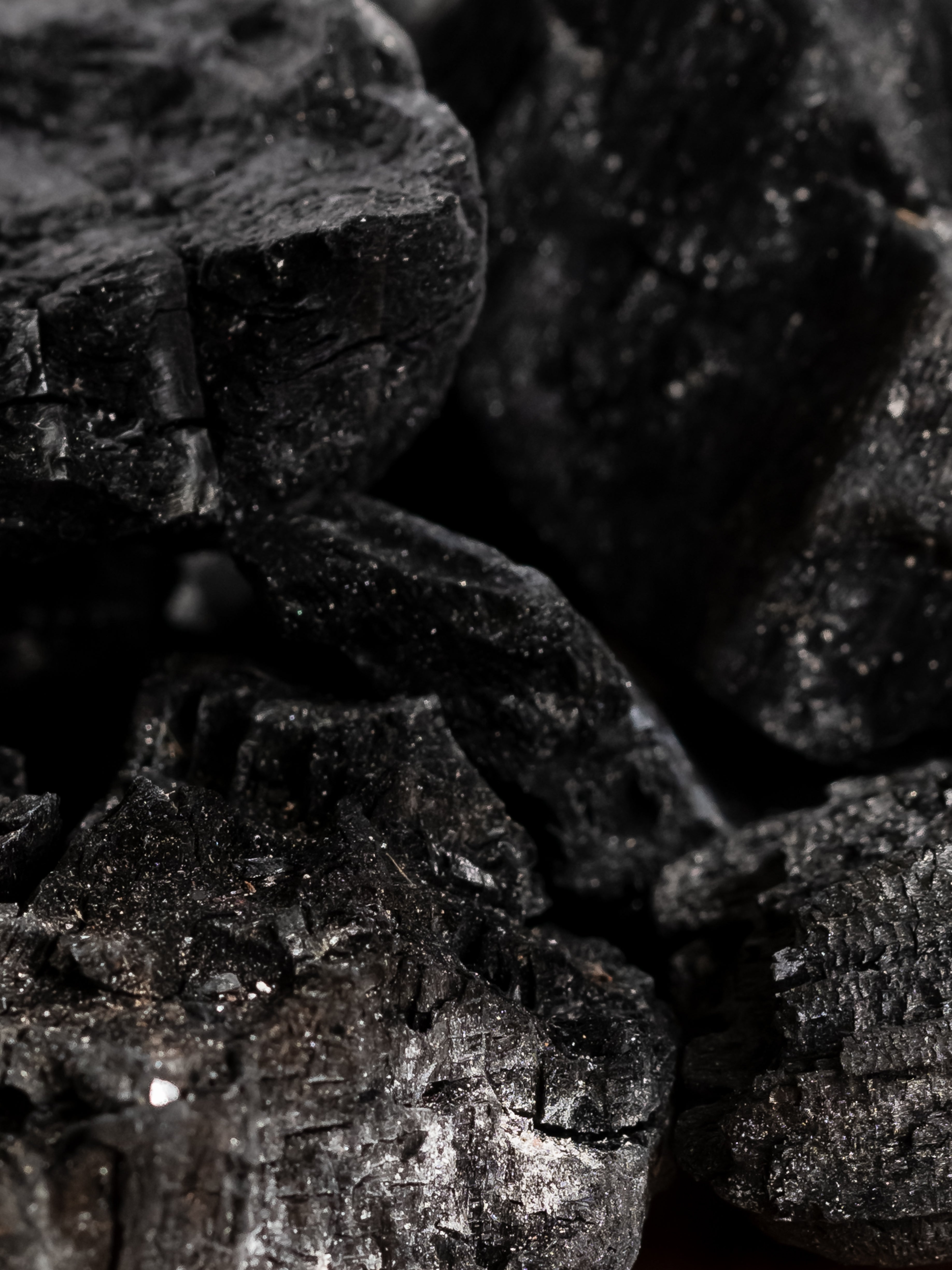 Charcoal - Settle into Scent