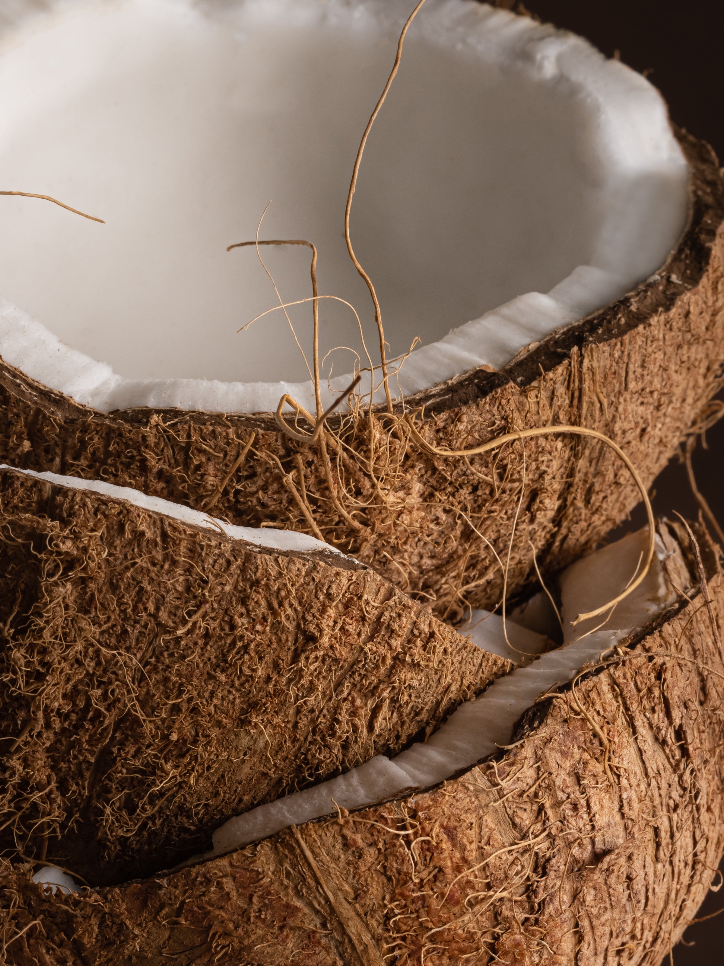 Coconut - Elevated Home Fragrance