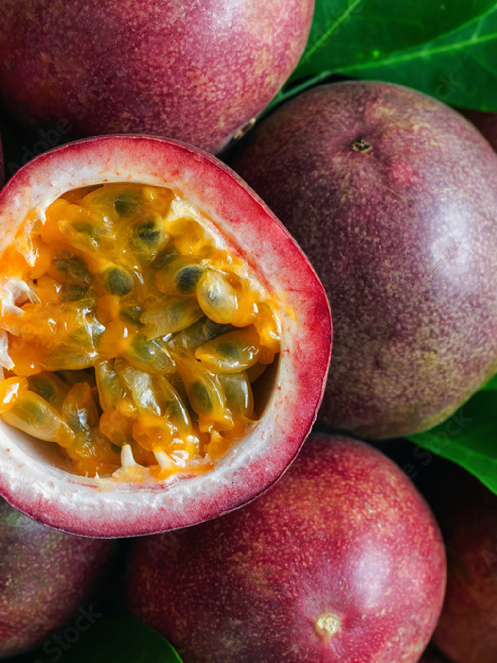 One Night in Rio - Fragrance for Evenings