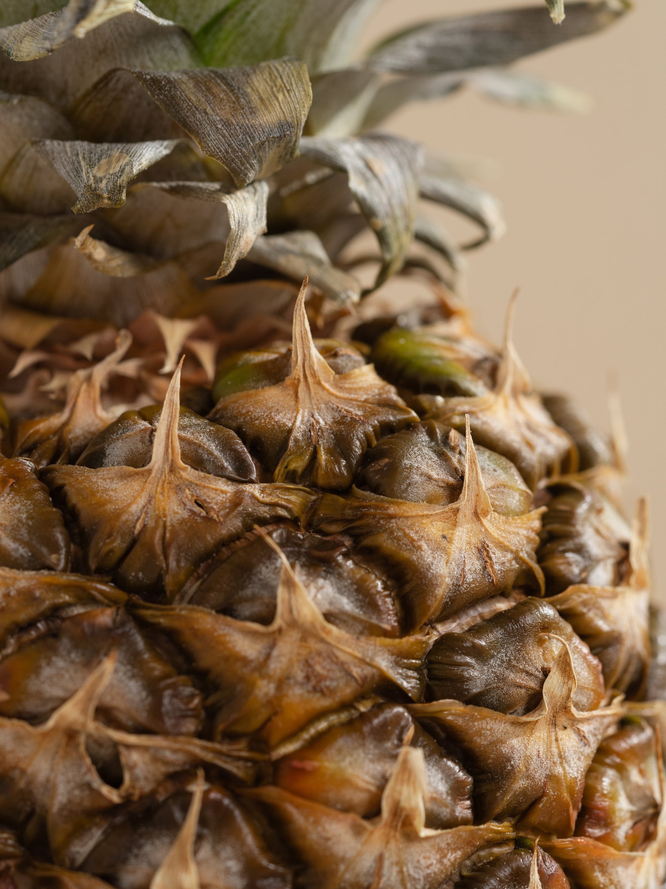 Pineapple Cilantro - Scent with Style