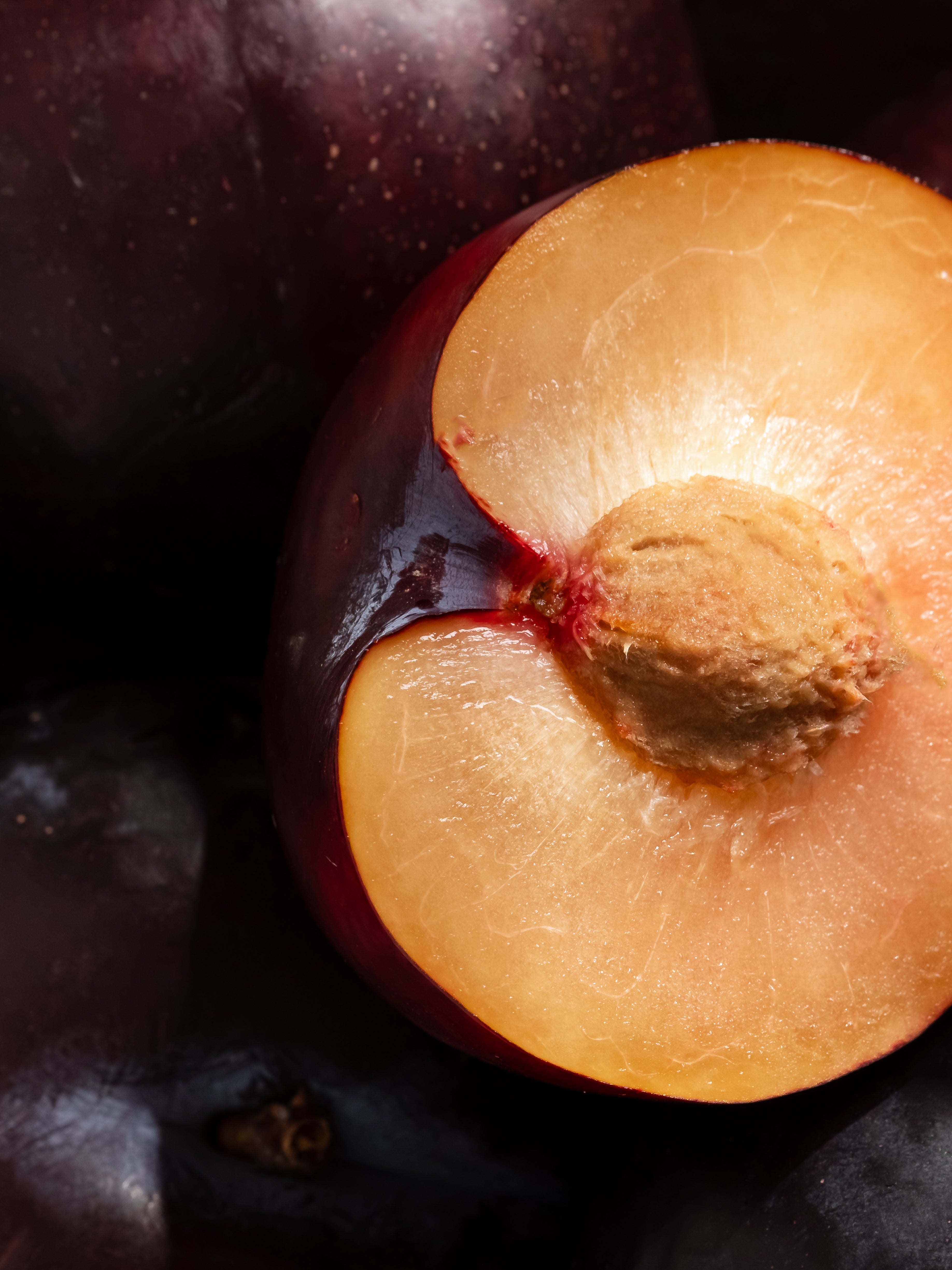 Autumn Plum - Cozy Room Scent
