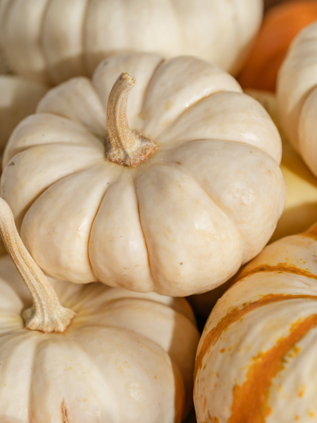 Pumpkin Macchiato - Made for Home