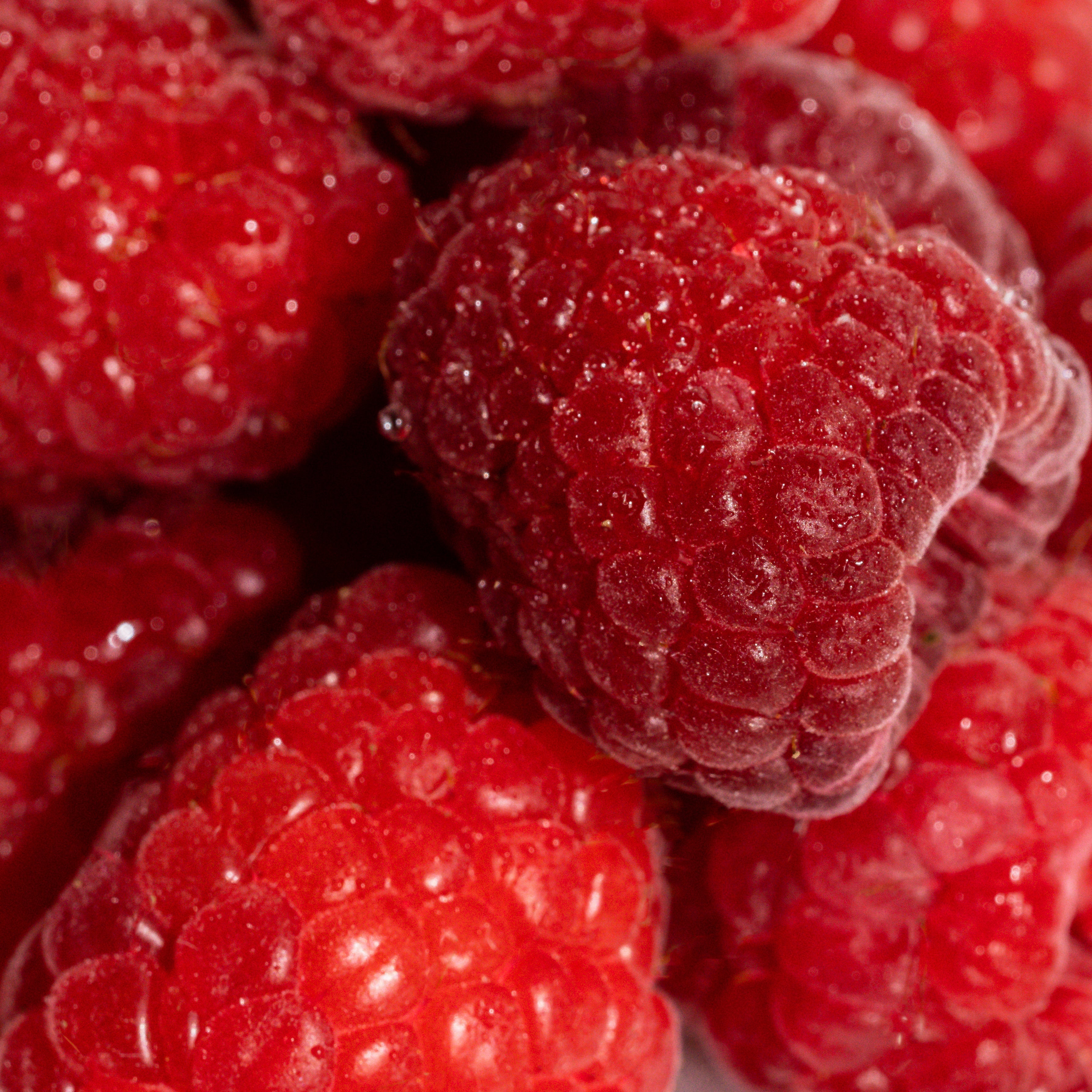 Vanilla Berry - Fresh for Mornings