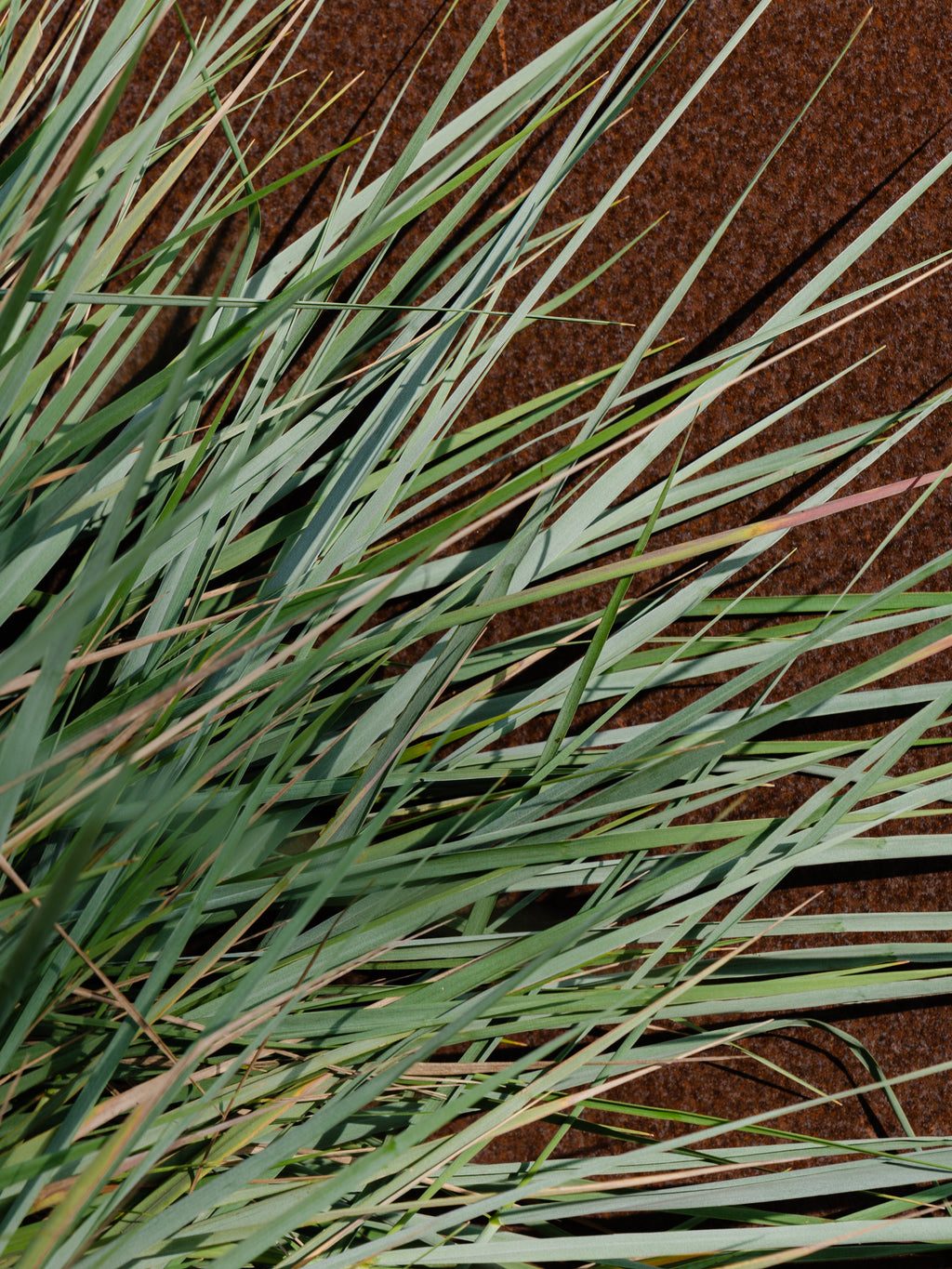 White Vetiver - Pura Makes It Fresh