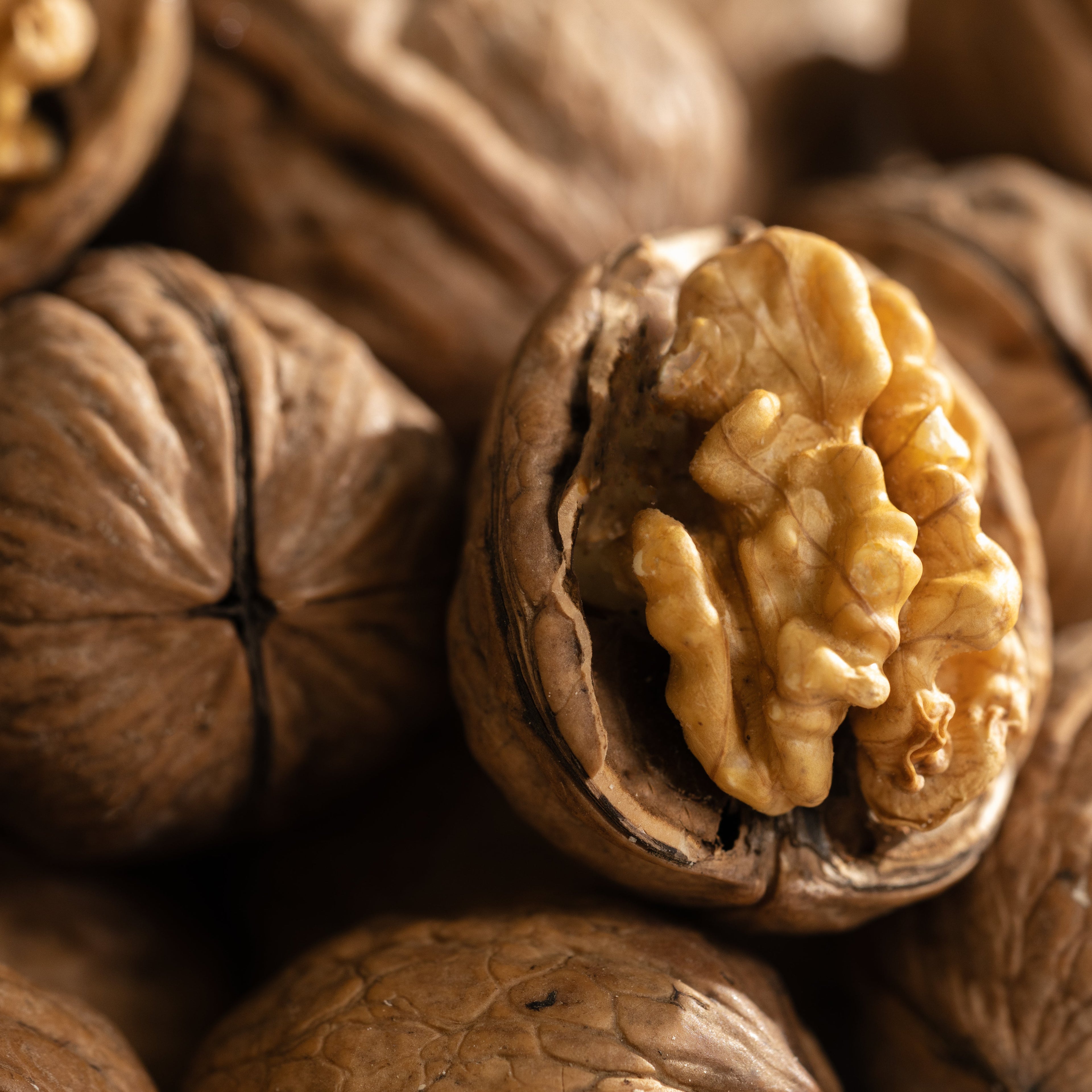 Pumpkin Spice & Black Walnut - Home Scent Made Easy